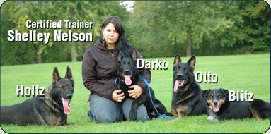 Dog Trainer Shelley Nelson with German Shepherds and Border Collie