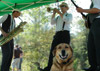 Clayton Off Leash Dog Park Opening