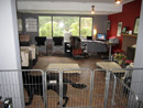 Balanced Canine has moved locations