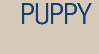 Puppy Kindergarten Dog Training